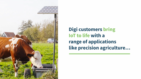 Supervisión de silos de piensos agrícolas