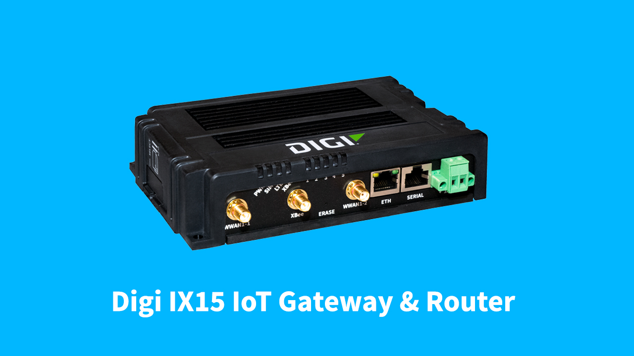 Pasarela Digi IX15