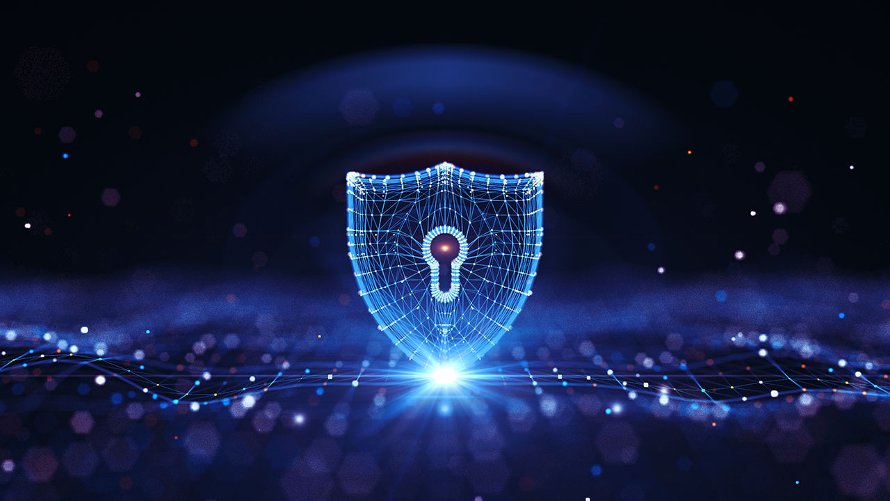 Seguridad de los sistemas integrados