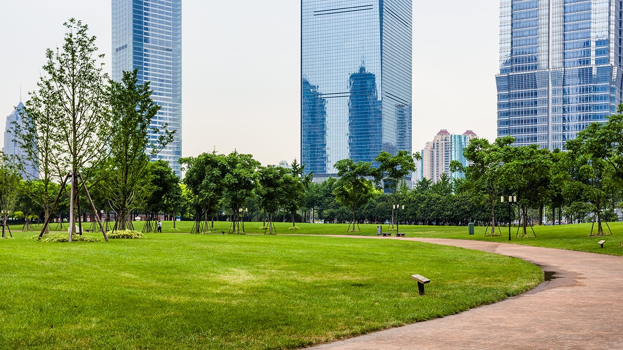 Espacio verde de la ciudad