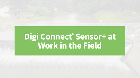 Digi Connect Sensor+ trabajando sobre el terreno