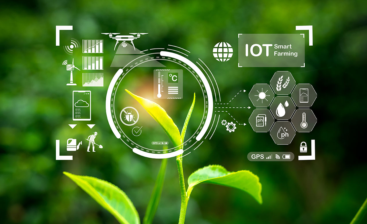 IoT en la agricultura: 10 casos de uso de tecnologías agrícolas ...
