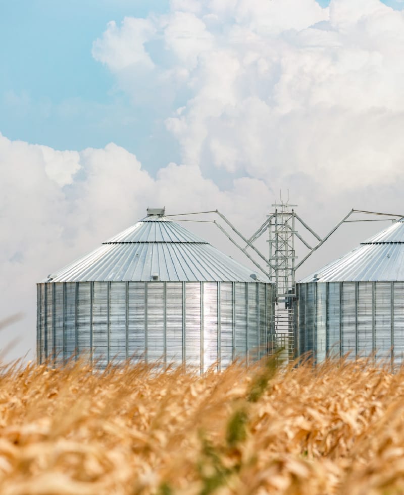 Depósitos de grano en un campo con cielo azul y nubes.